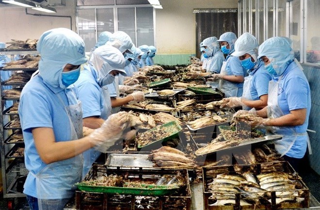 附圖：2018年前兩月越南水產(chǎn)品出口額同比增長近30%。（圖片來源：越通社）